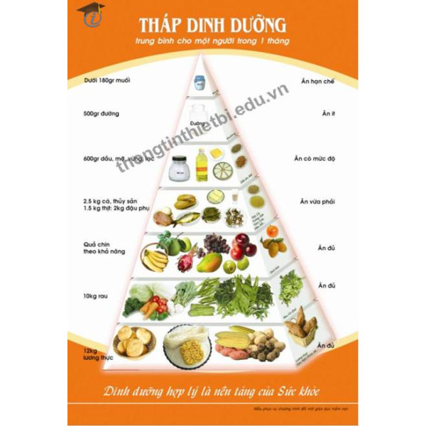 Tháp dinh dưỡng